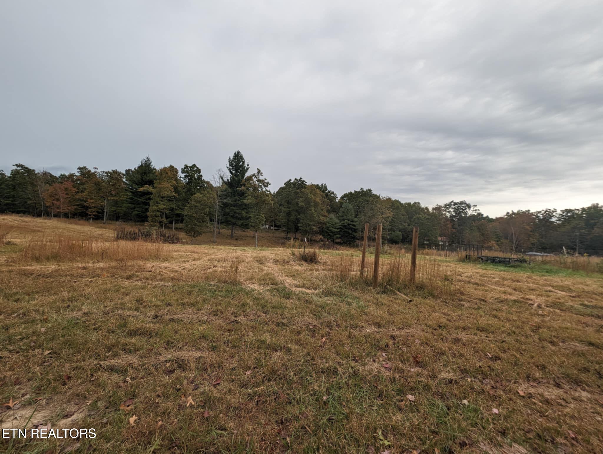 370 Perkins Trail Deer Lodge, TN 37726 - Photo 12 of 29 IMG_6270