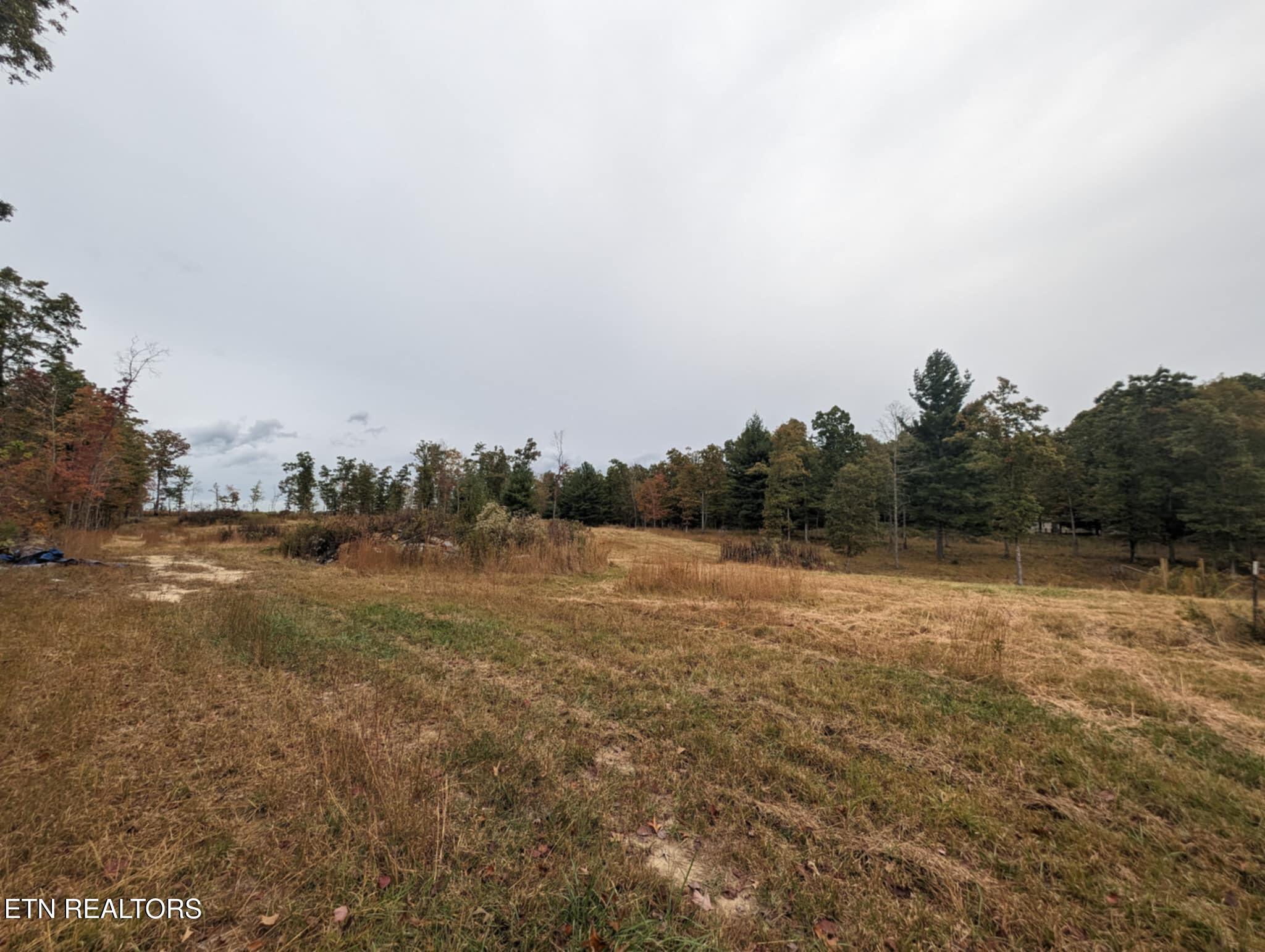 370 Perkins Trail Deer Lodge, TN 37726 - Photo 13 of 29 IMG_6271