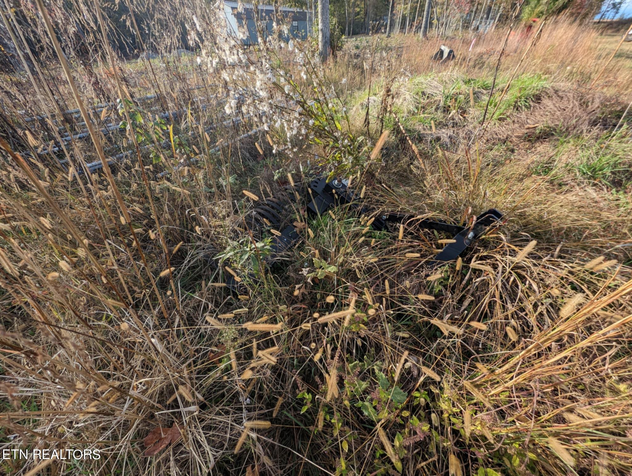 370 Perkins Trail Deer Lodge, TN 37726 - Photo 18 of 29 IMG_6299