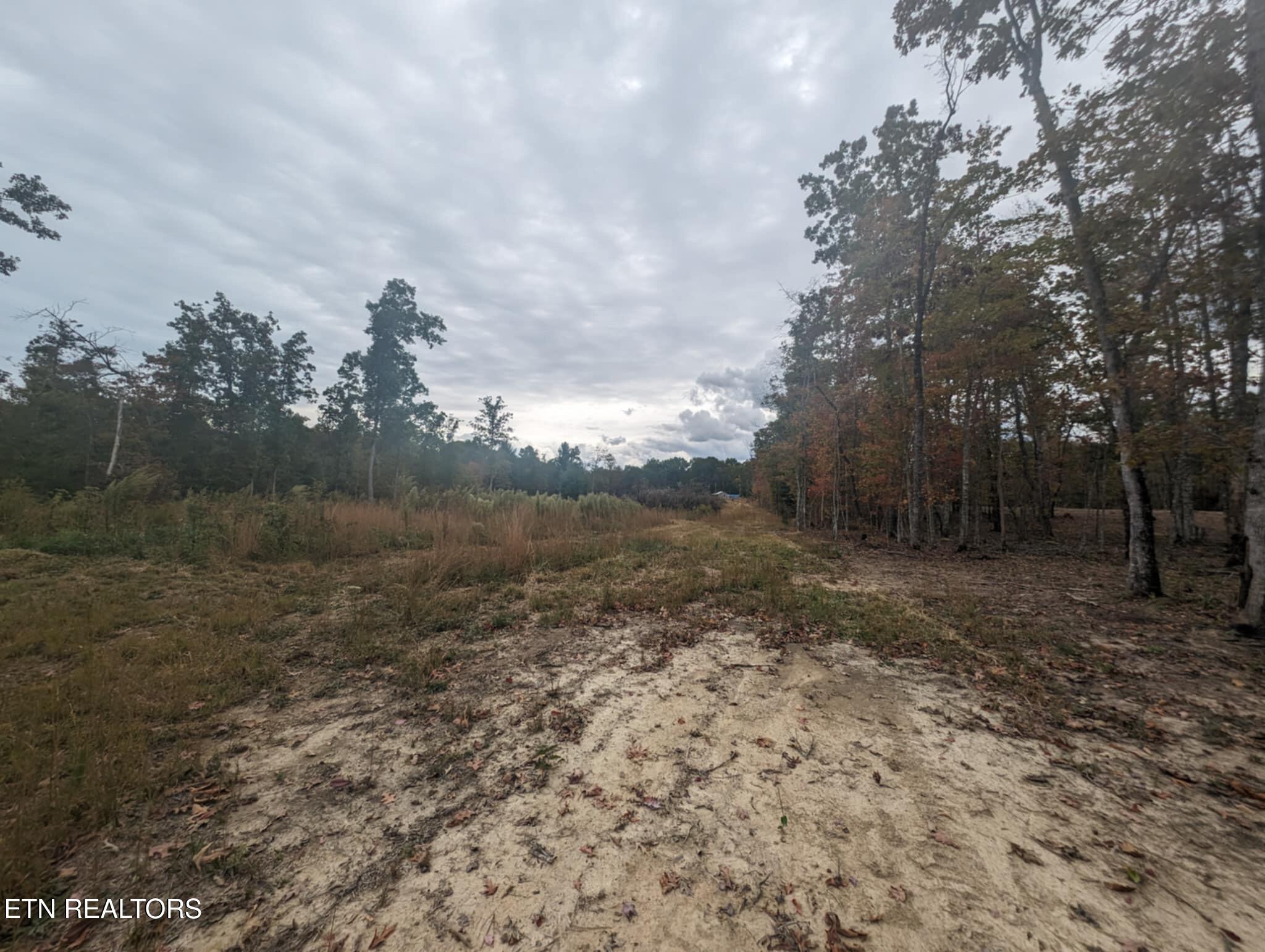 370 Perkins Trail Deer Lodge, TN 37726 - Photo 19 of 29 IMG_6195