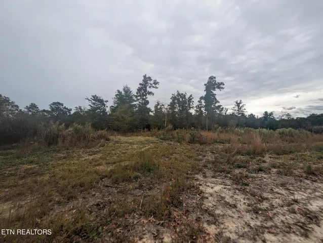 $98,900 | 370 Perkins Trail, Deer Lodge, TN 37726