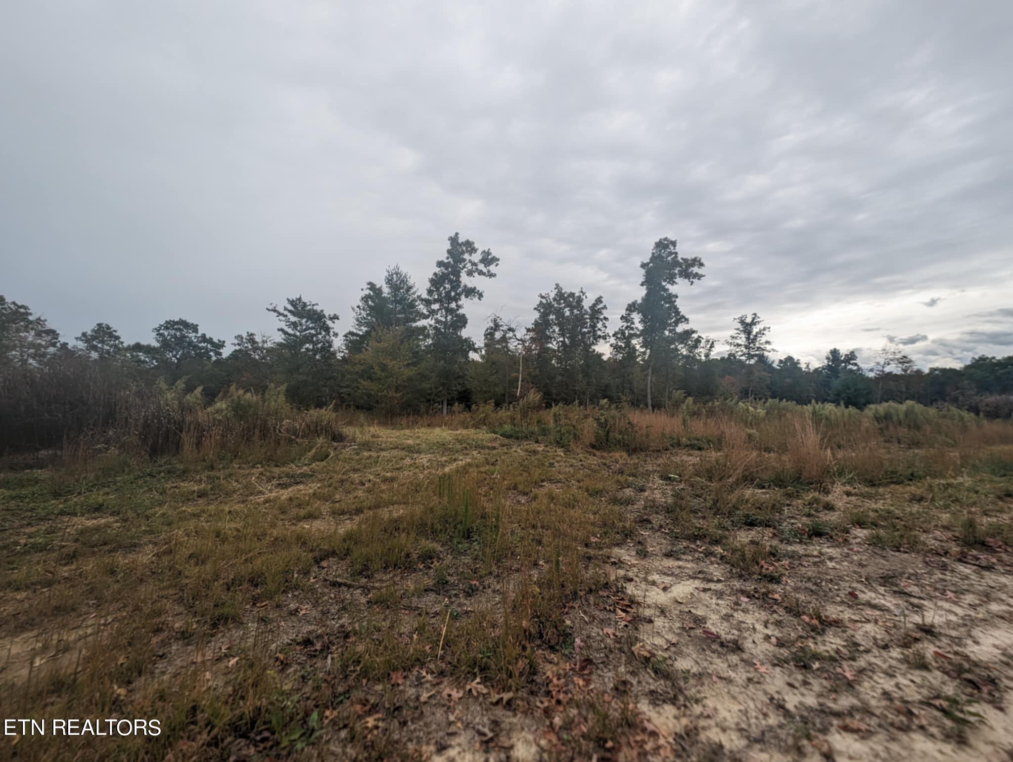 370 Perkins Trail Deer Lodge, TN 37726 - Photo 20 of 29 IMG_6196