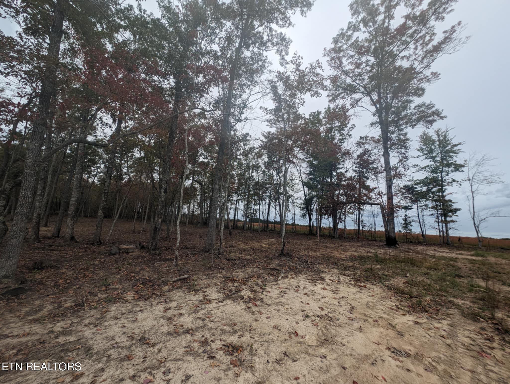 370 Perkins Trail Deer Lodge, TN 37726 - Photo 21 of 29 IMG_6200