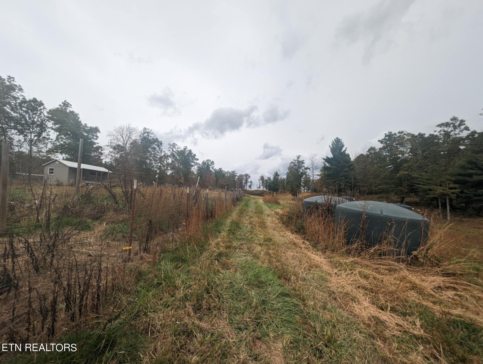 370 Perkins Trail Deer Lodge, TN 37726 - Photo 22 of 29 IMG_6219