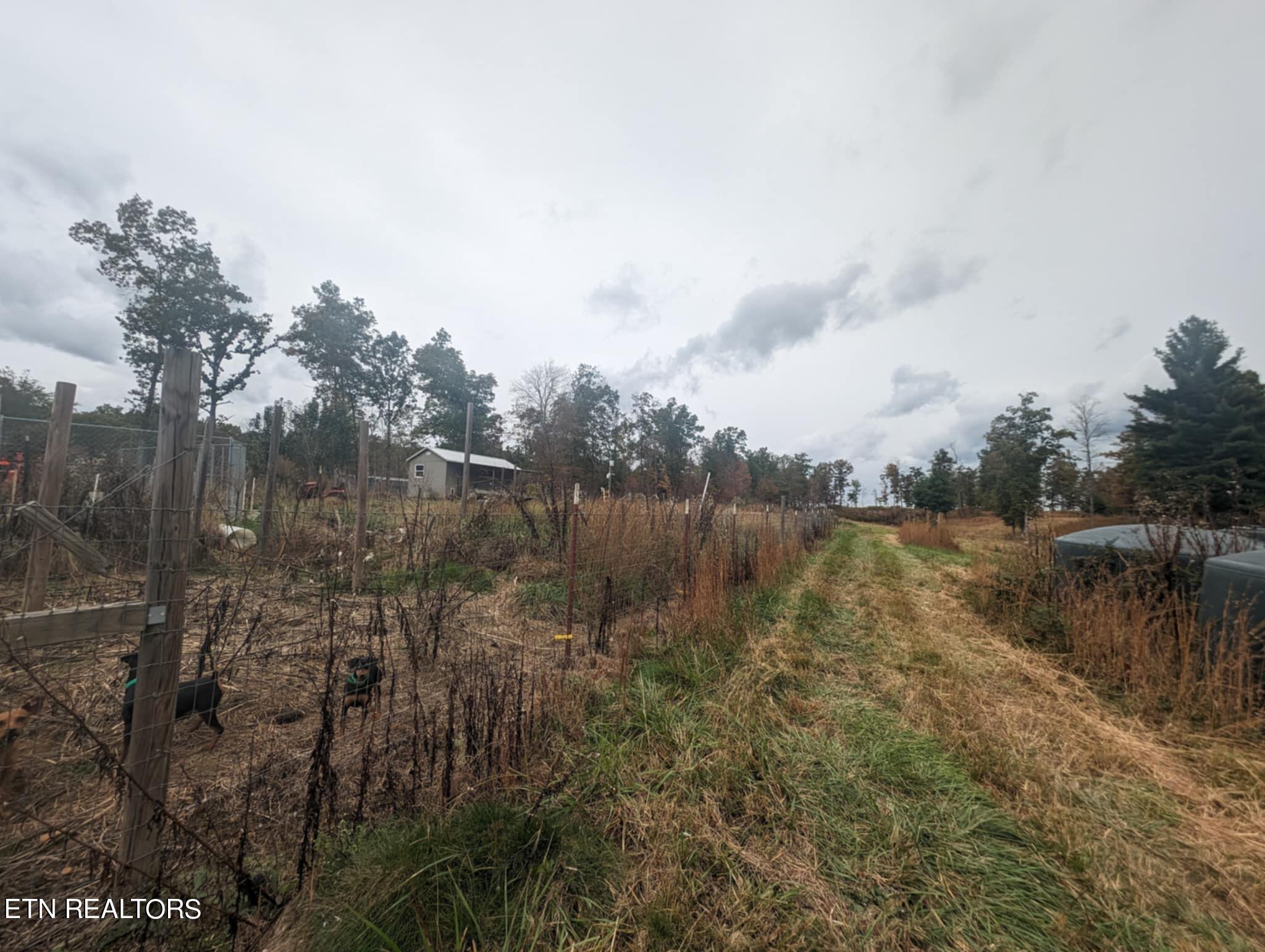 370 Perkins Trail Deer Lodge, TN 37726 - Photo 23 of 29 IMG_6220