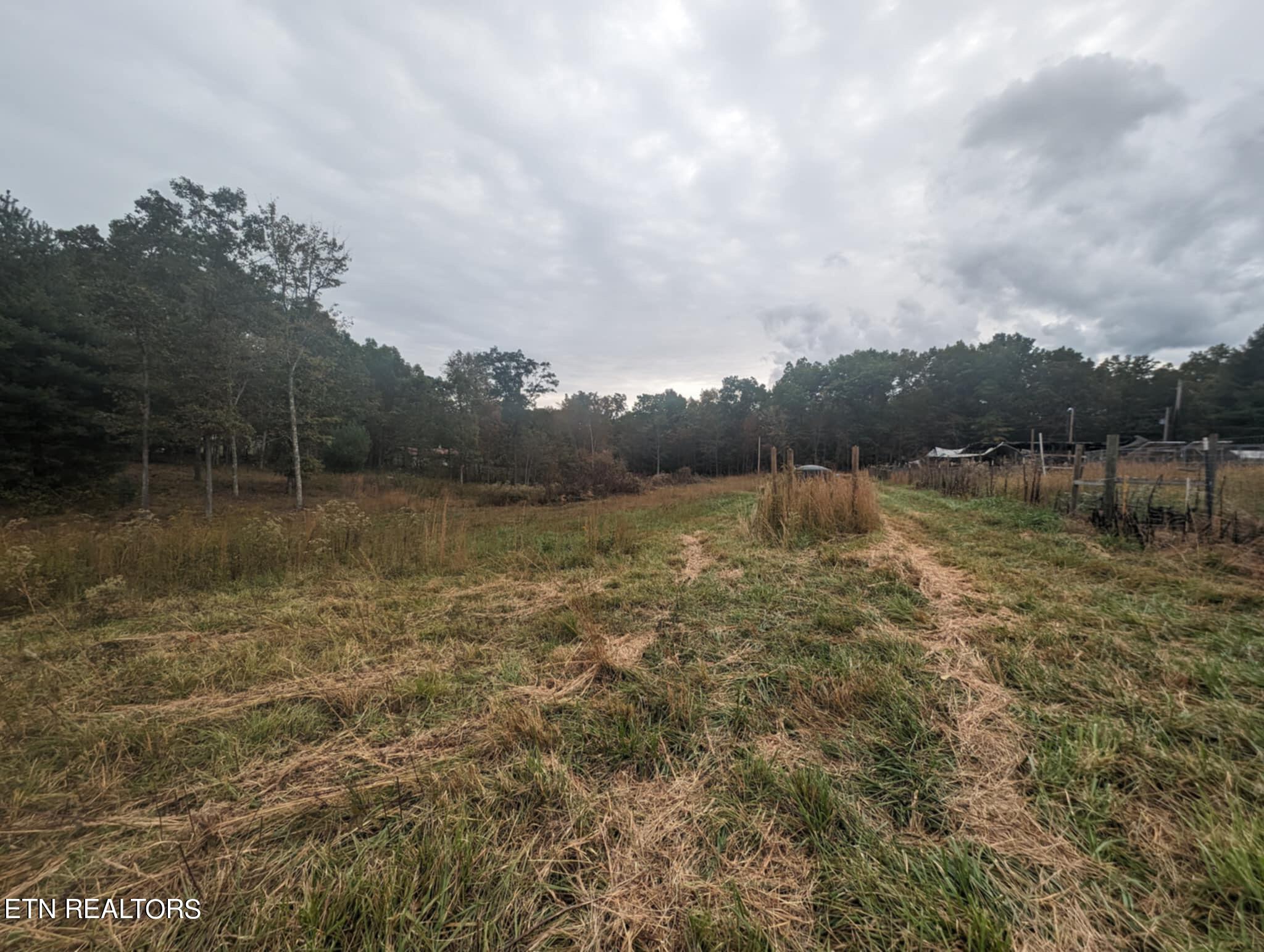 370 Perkins Trail Deer Lodge, TN 37726 - Photo 26 of 29 IMG_6224