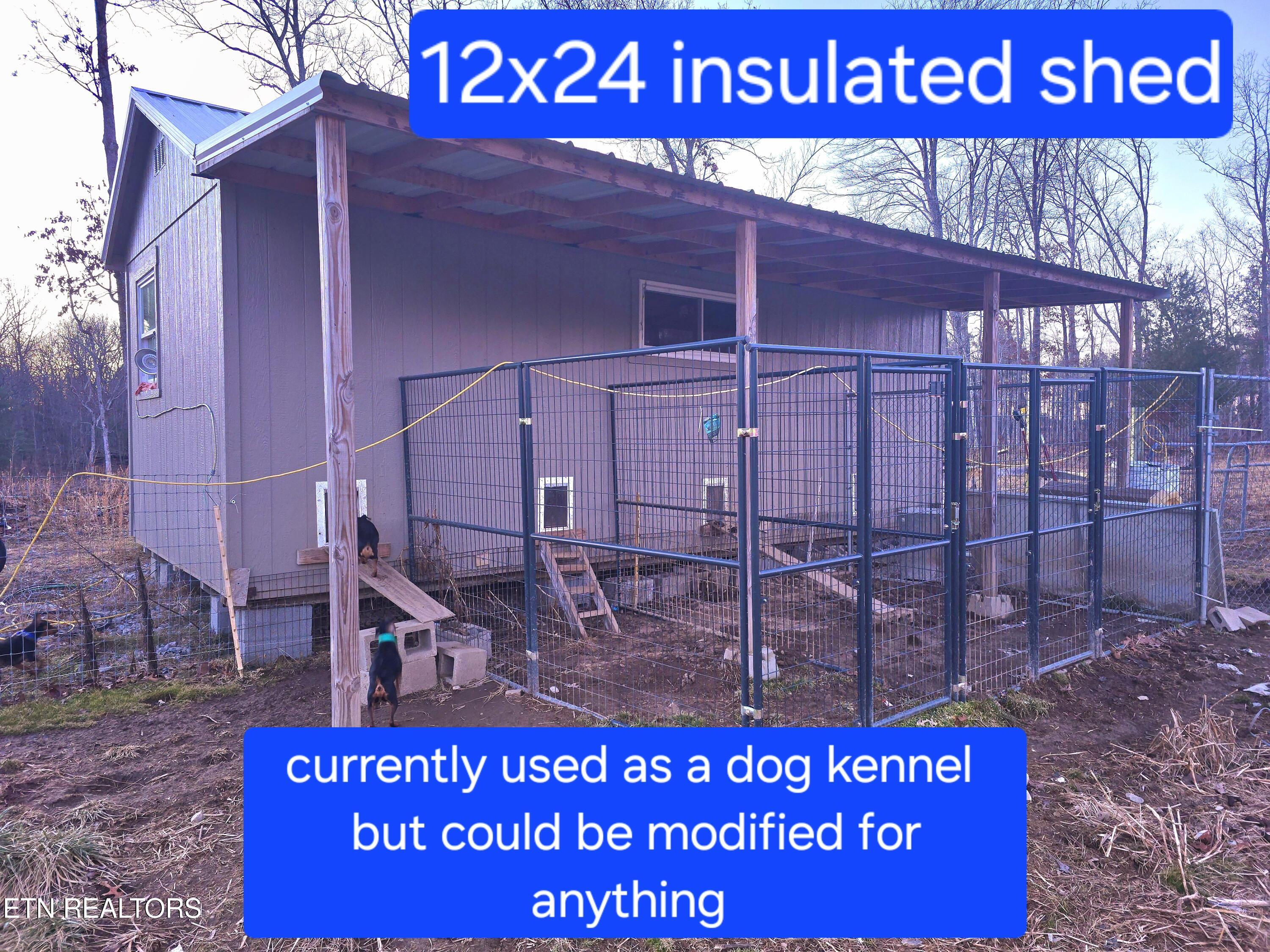 370 Perkins Trail Deer Lodge, TN 37726 - Photo 3 of 29 20250128_dog house back