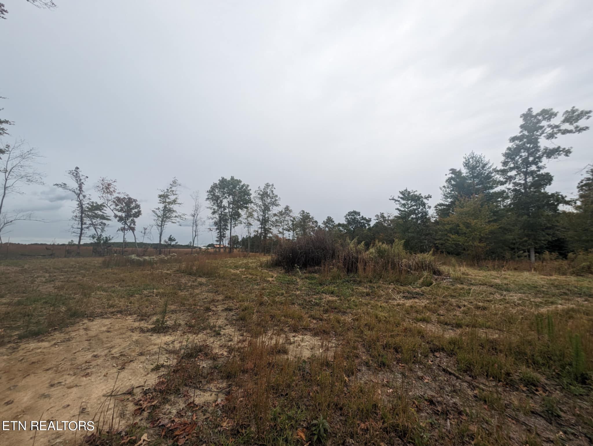 370 Perkins Trail Deer Lodge, TN 37726 - Photo 4 of 29 IMG_6197