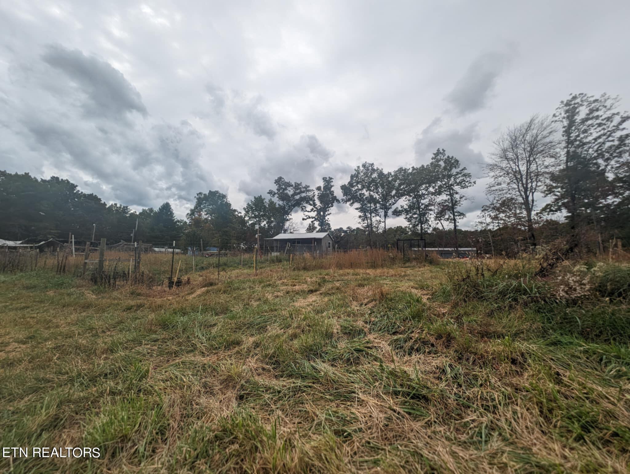 370 Perkins Trail Deer Lodge, TN 37726 - Photo 5 of 29 IMG_6225