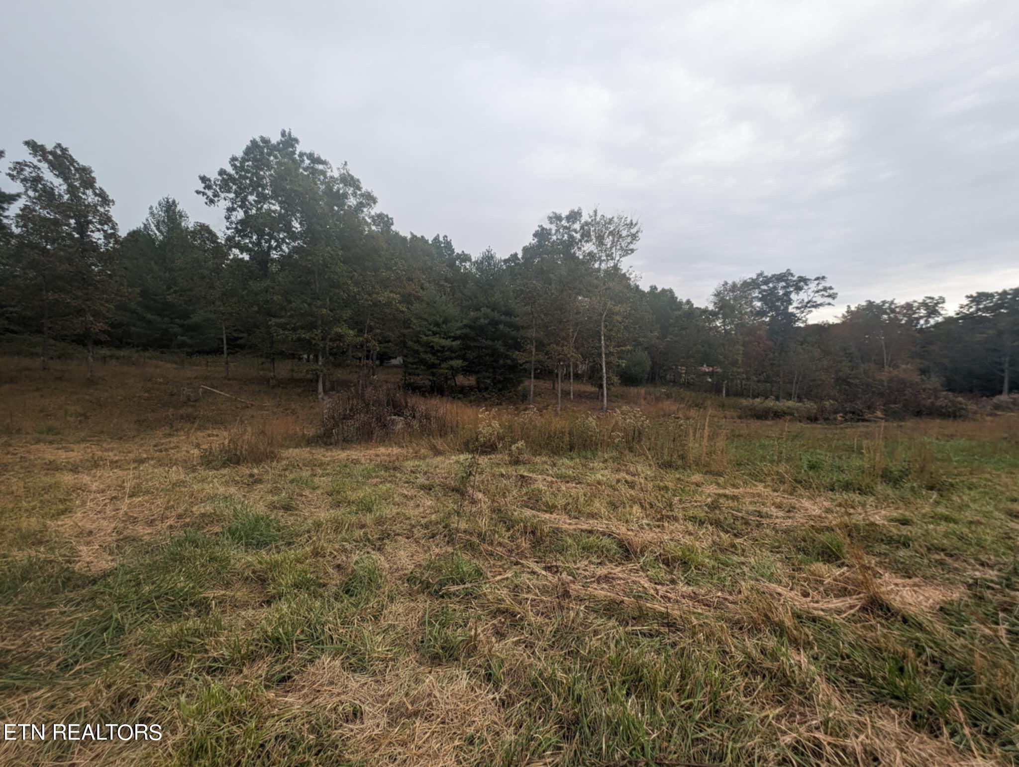 370 Perkins Trail Deer Lodge, TN 37726 - Photo 6 of 29 IMG_6223