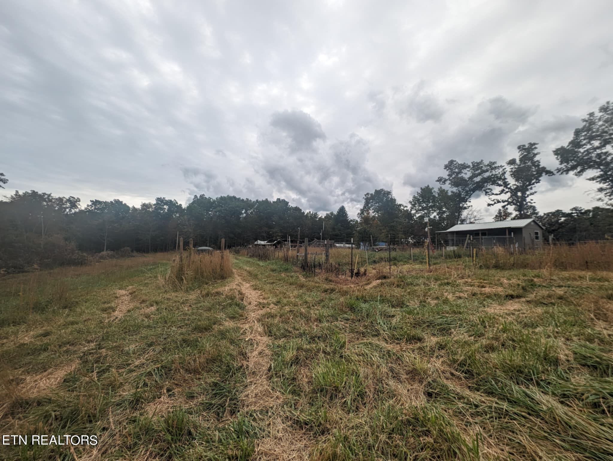 370 Perkins Trail Deer Lodge, TN 37726 - Photo 8 of 29 IMG_6226