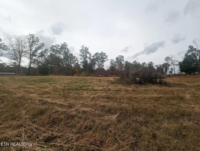 $98,900 | 370 Perkins Trail, Deer Lodge, TN 37726