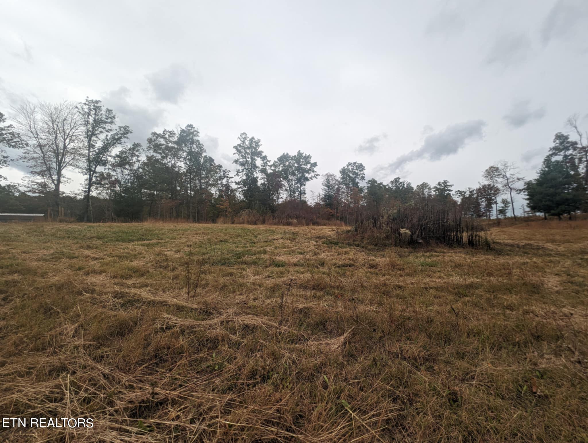 370 Perkins Trail Deer Lodge, TN 37726 - Photo 9 of 29 IMG_6228