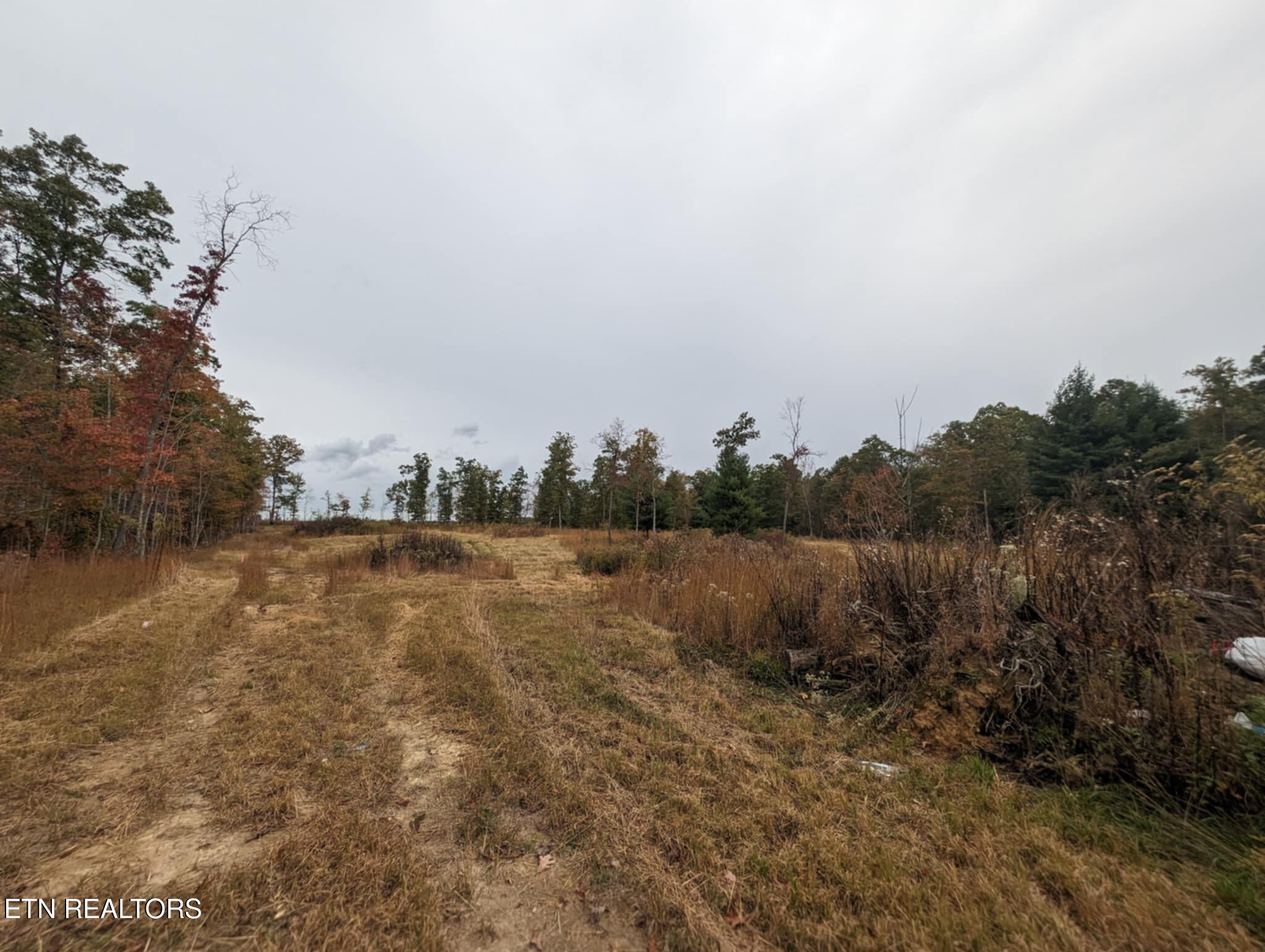 370 Perkins Trail Deer Lodge, TN 37726 - Photo 10 of 29 IMG_6268