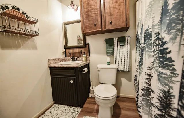 a bathroom with a sink and a toilet