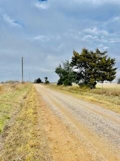 1751 County Road 3561 Dike, TX 75437 - Photo 10 of 10 View of street