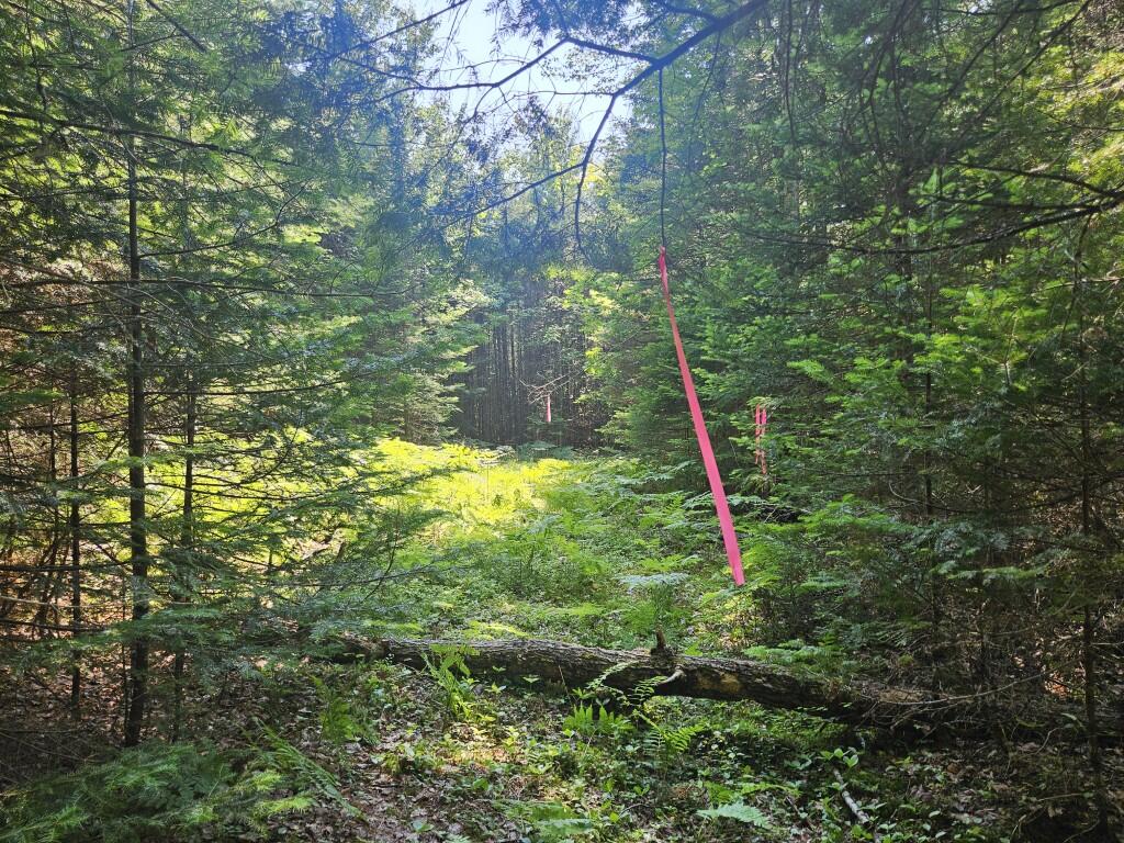 5 Farmington Falls Road New Sharon, ME 04955 - Photo 16 of 39 20260629_153113