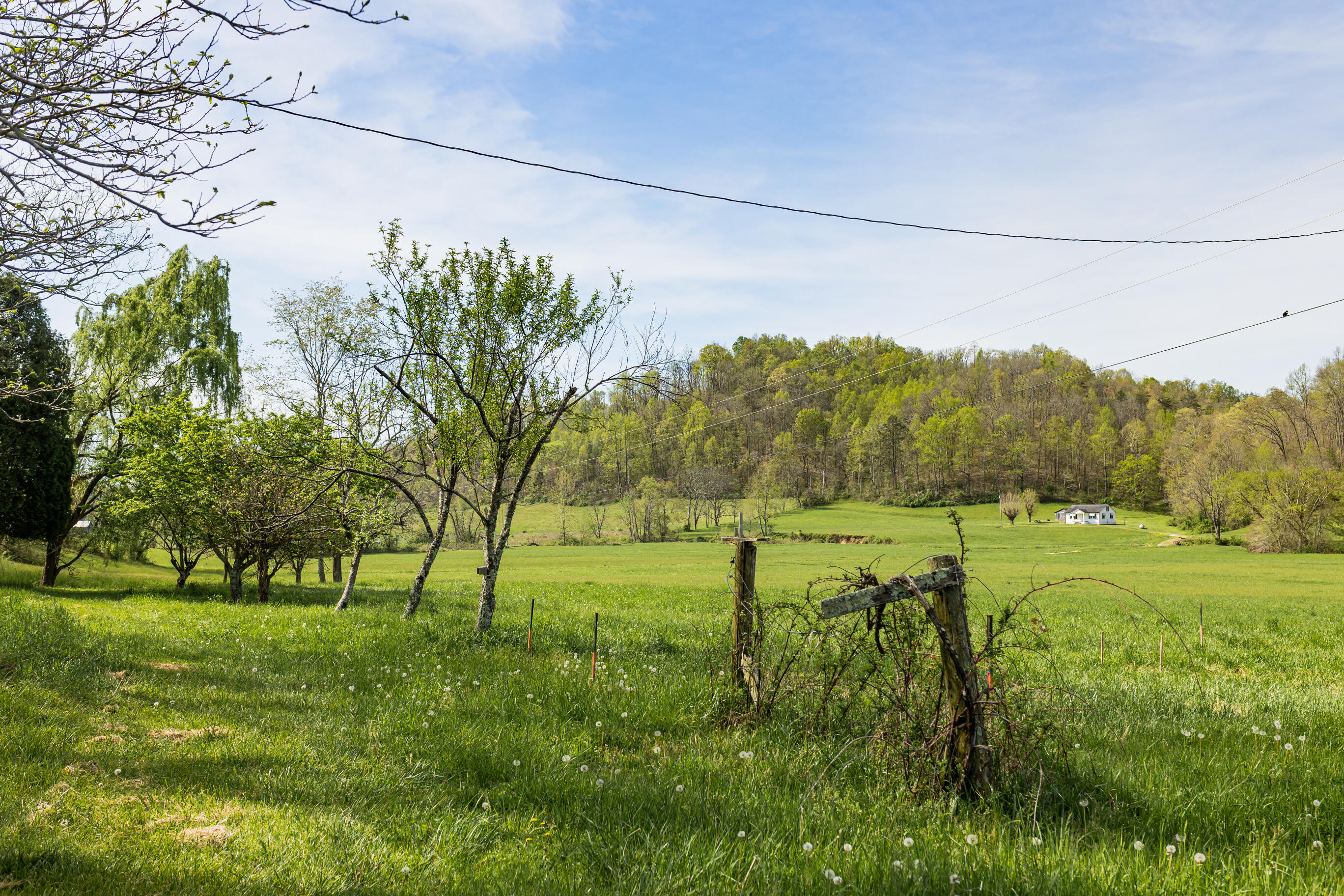 534 Lower Gilmore Road Campton, KY 41301 - Photo 32 of 80 FO7A1574