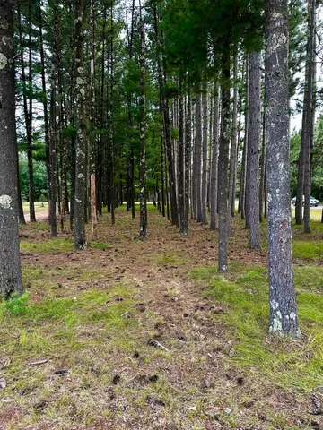 $195,000 | 1068 10th Avenue, Hancock, WI 54943