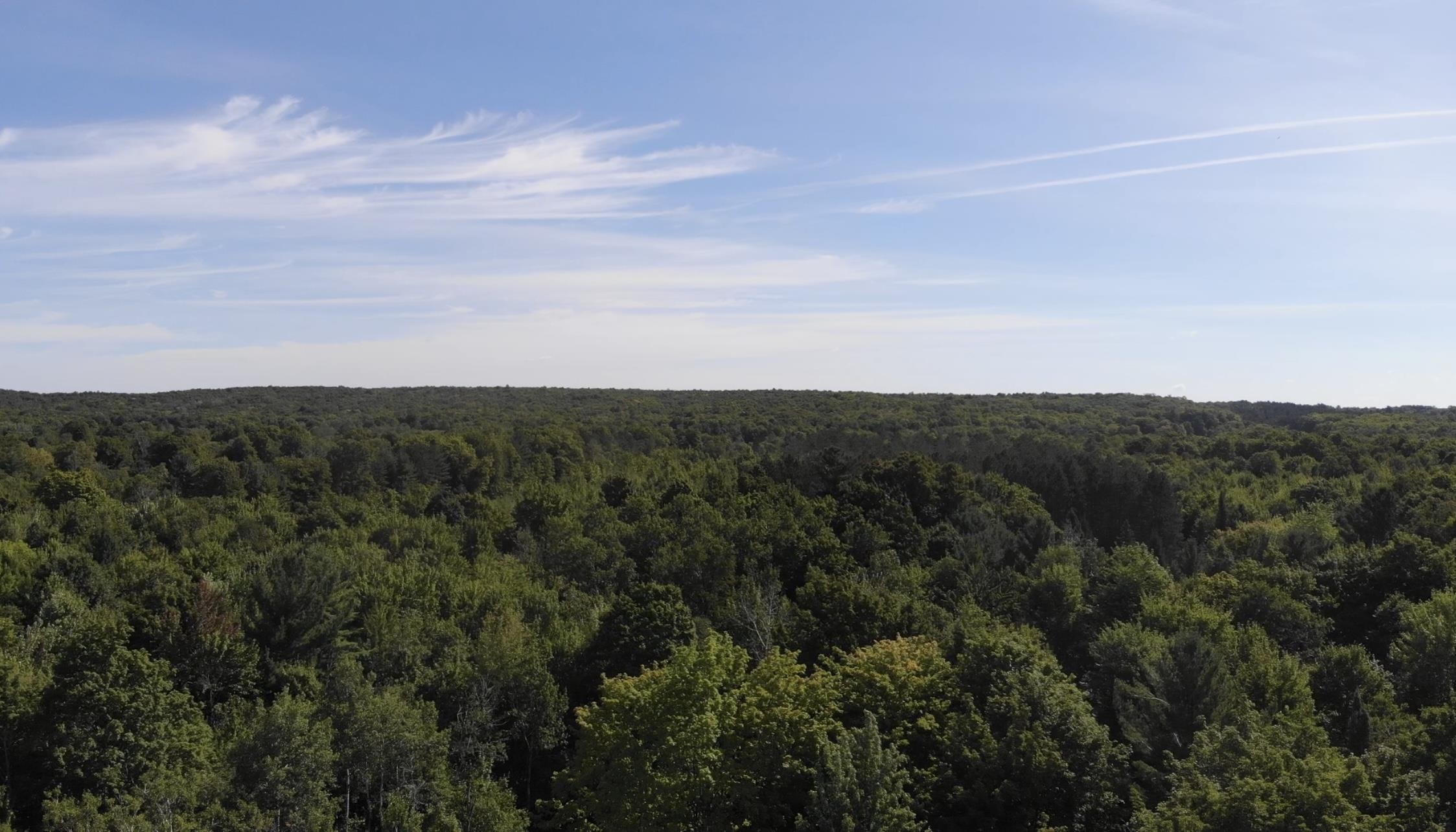 4192 Toat Road Northeast Kalkaska, MI 49646 - Photo 7 of 8 Gallery Image 7