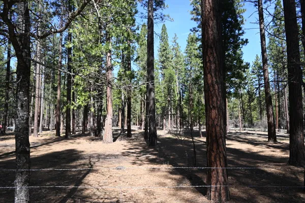 $24,000 | 0 Pine Shadows Road, McArthur, CA 96056