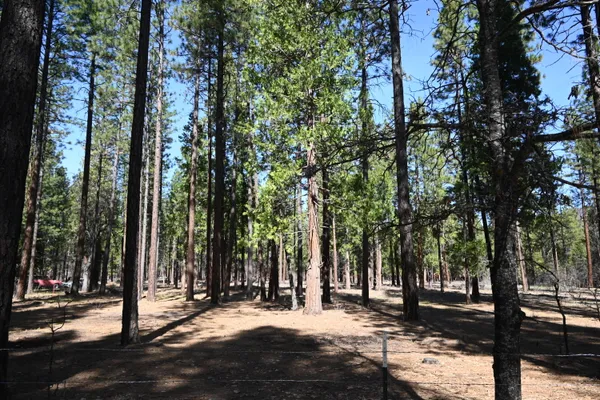 $24,000 | 0 Pine Shadows Road, McArthur, CA 96056