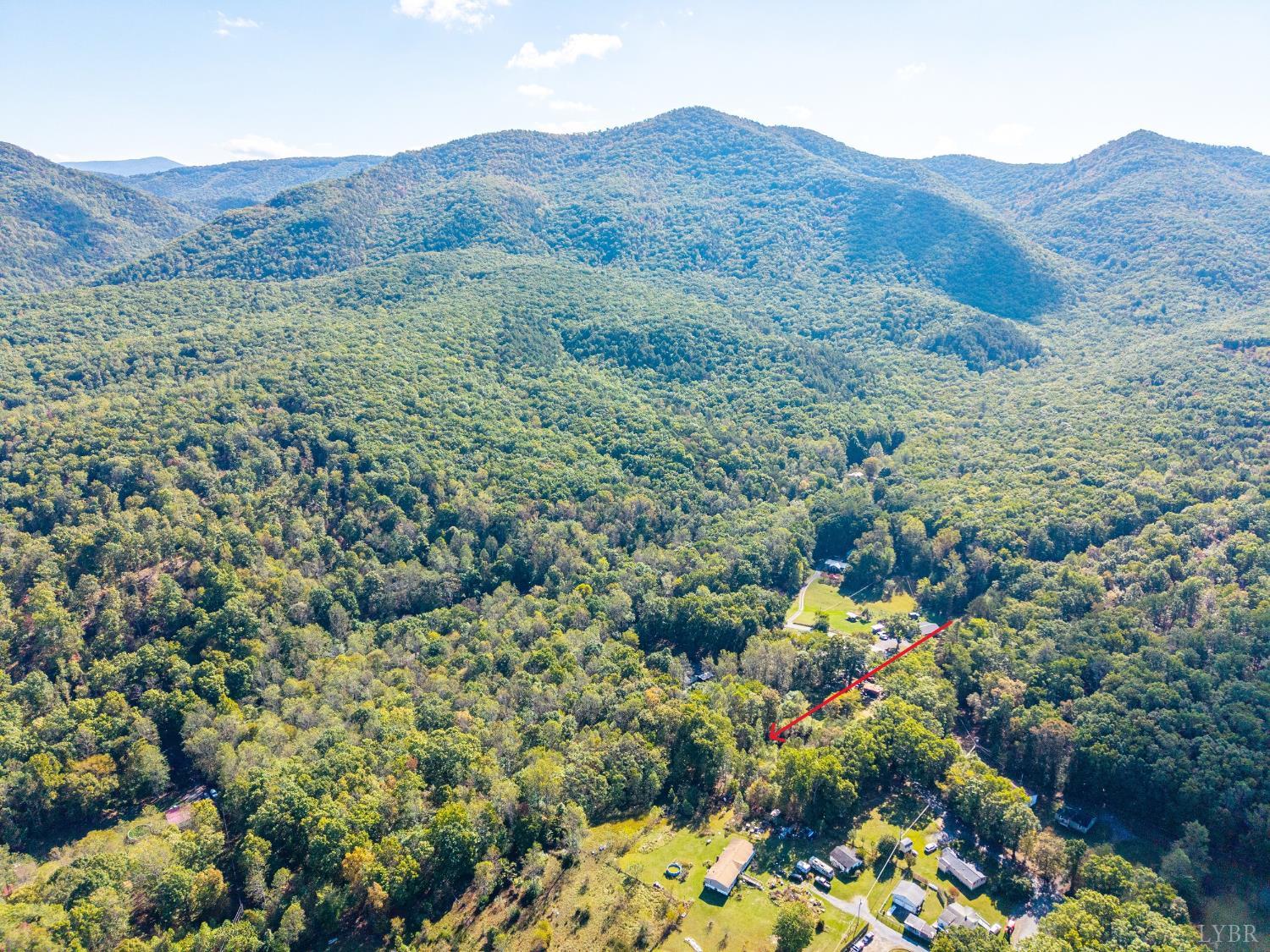 615 Stoney Run Road Buena Vista, VA 24416 - Photo 13 of 24 a view of a lush green hillside and houses