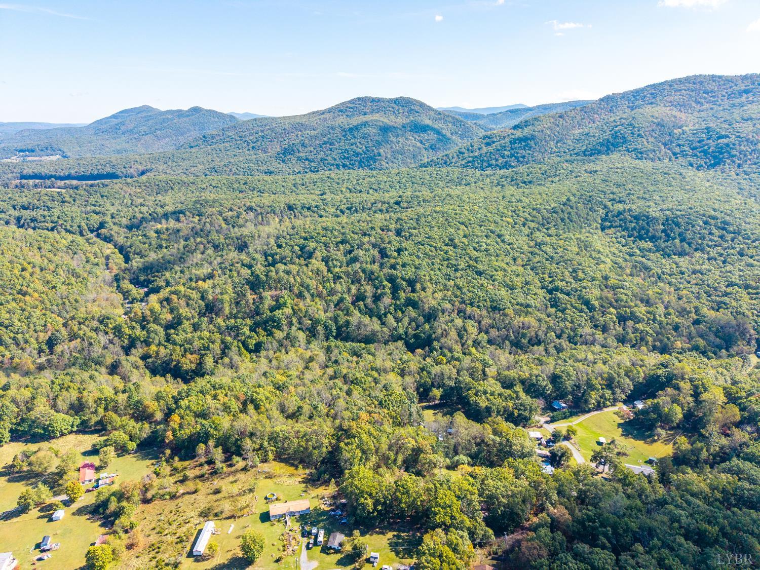 615 Stoney Run Road Buena Vista, VA 24416 - Photo 14 of 24 a view of a lush green hillside and houses