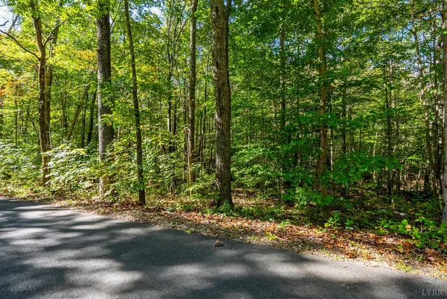 $85,000 | 615 Stoney Run Road, Buena Vista, VA 24416