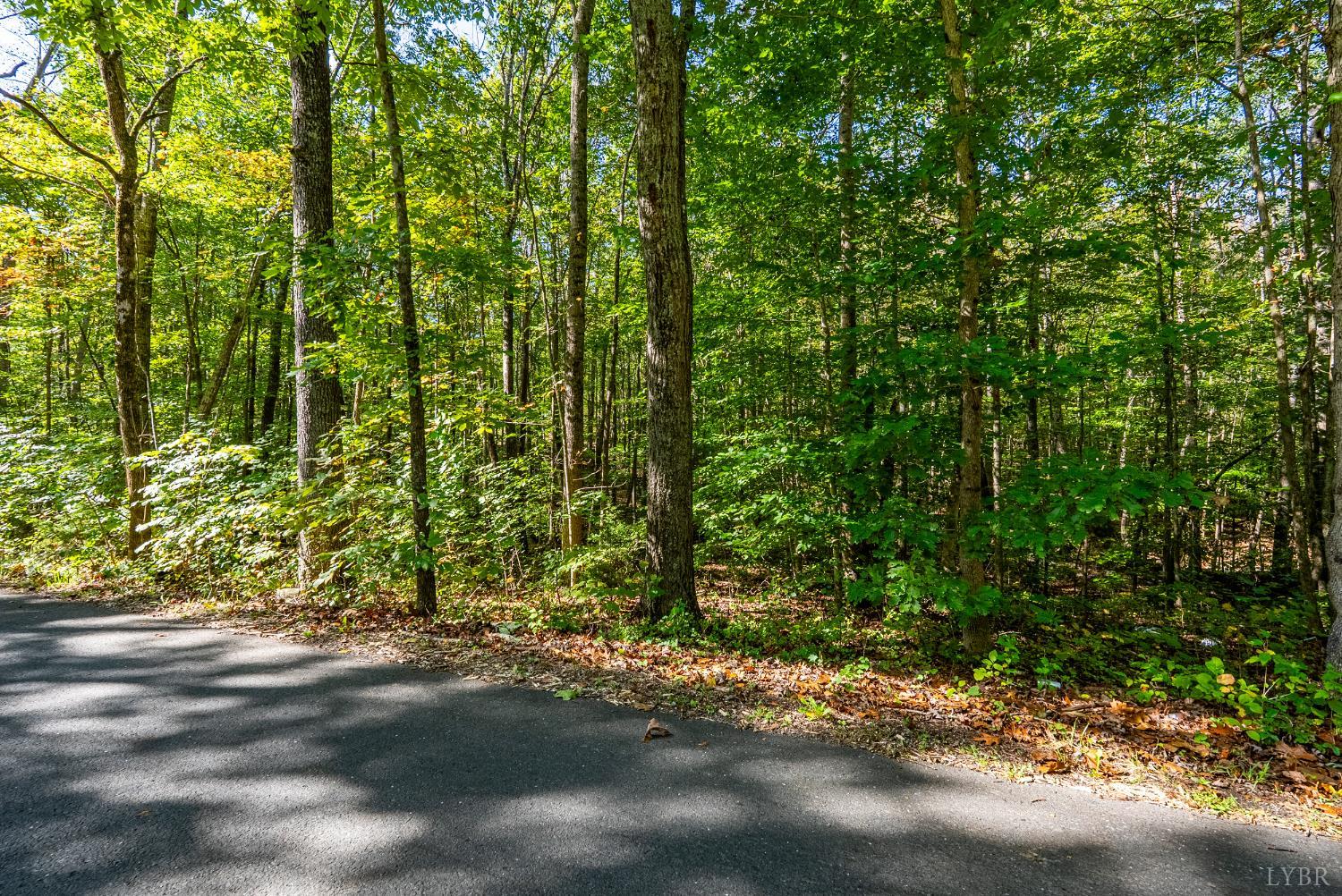 615 Stoney Run Road Buena Vista, VA 24416 - Photo 16 of 24 a view of a yard with plants and trees