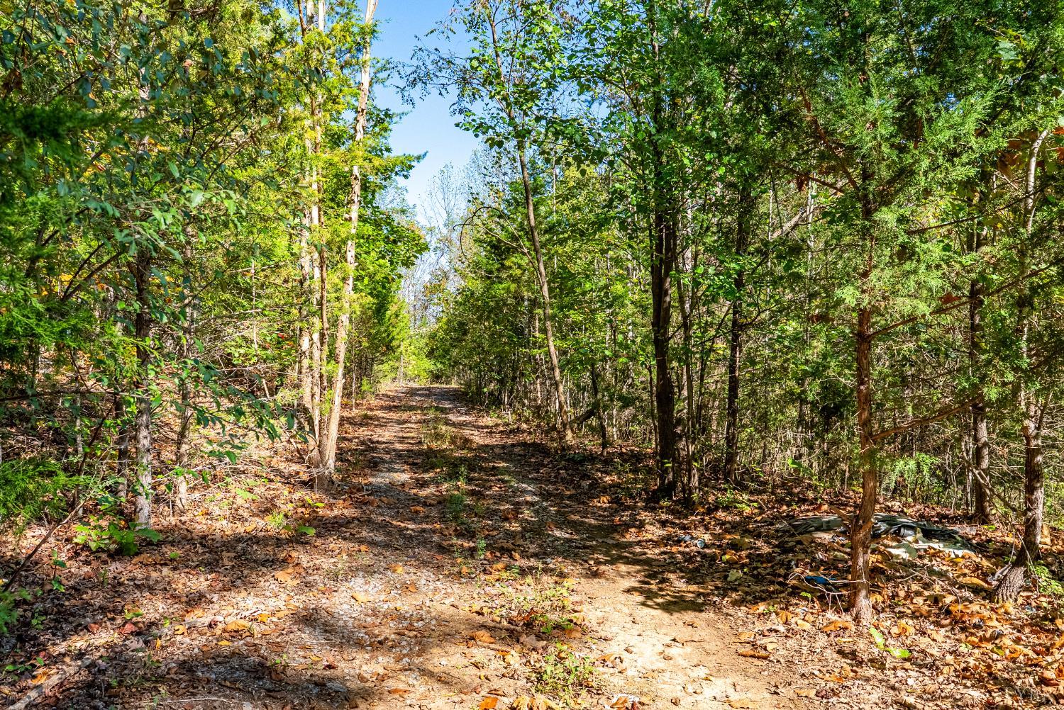 615 Stoney Run Road Buena Vista, VA 24416 - Photo 17 of 24 a big yard with lots of green space