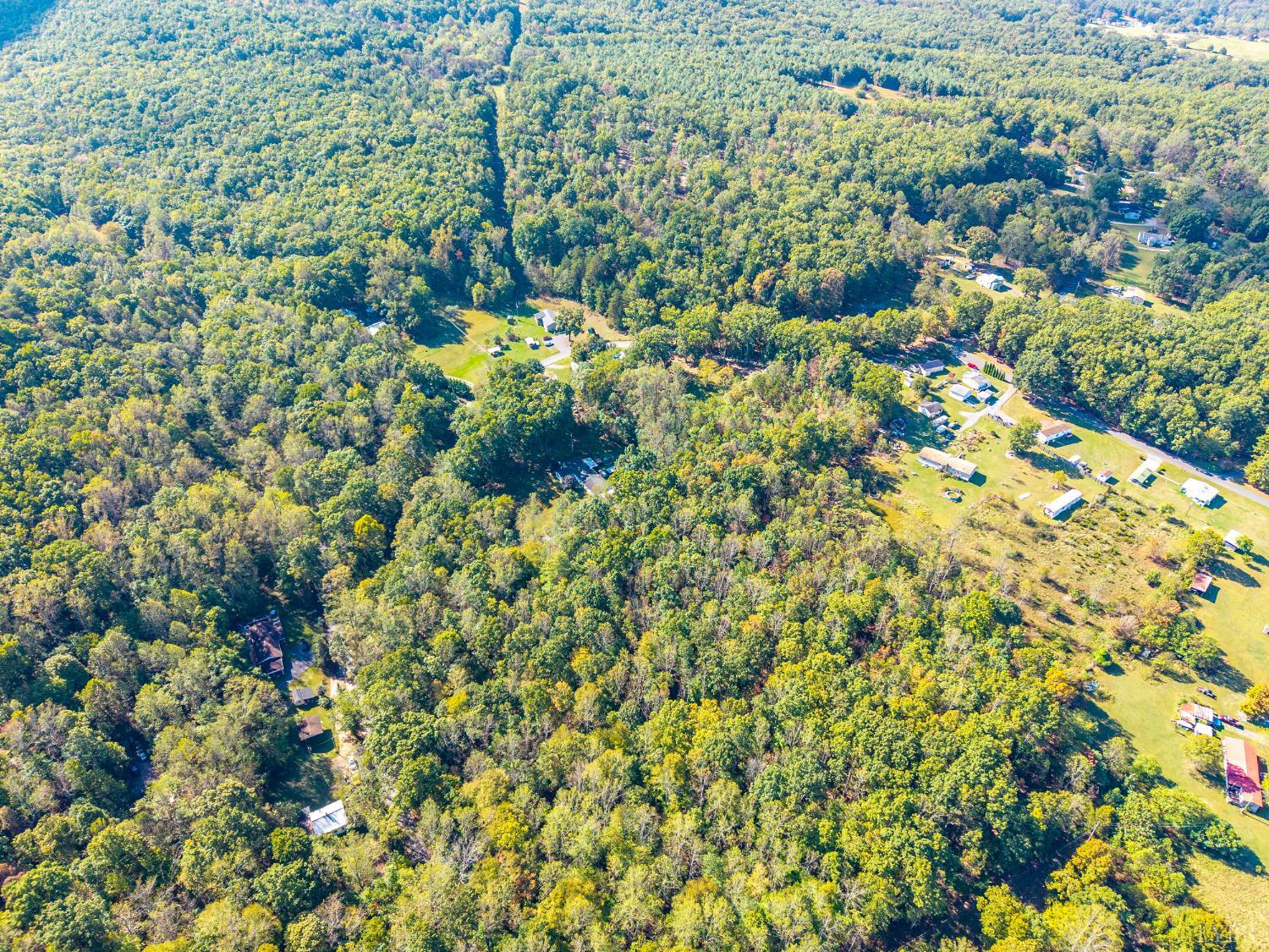 615 Stoney Run Road Buena Vista, VA 24416 - Photo 18 of 24 a view of a yard