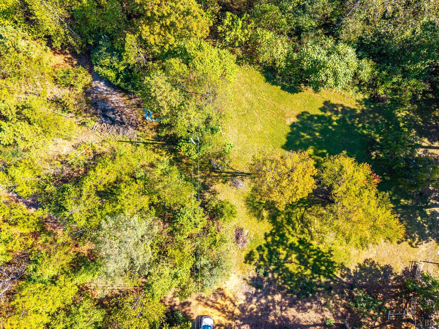 615 Stoney Run Road Buena Vista, VA 24416 - Photo 2 of 24 a view of a tree with a yard