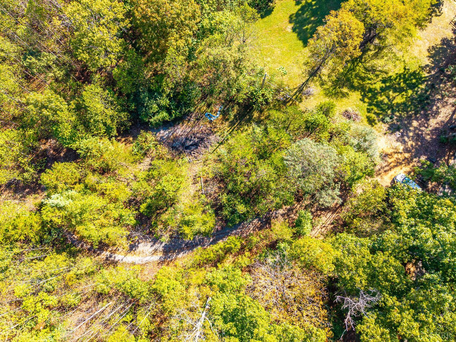 615 Stoney Run Road Buena Vista, VA 24416 - Photo 3 of 24 a view of a big yard of the house