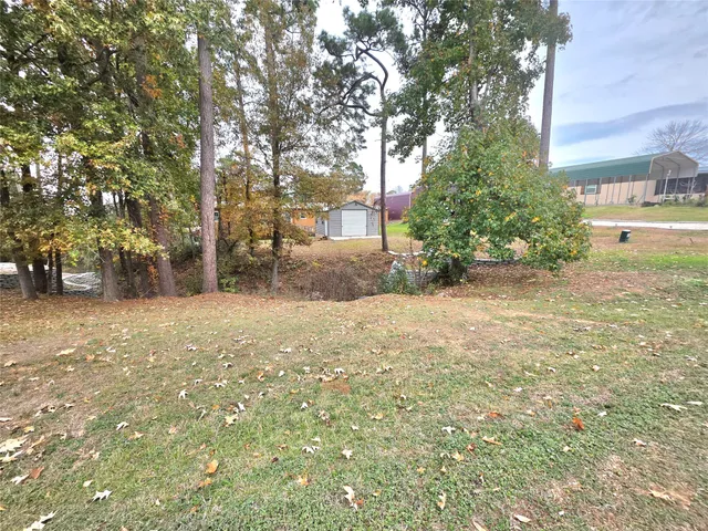 a view of a yard with plants and trees