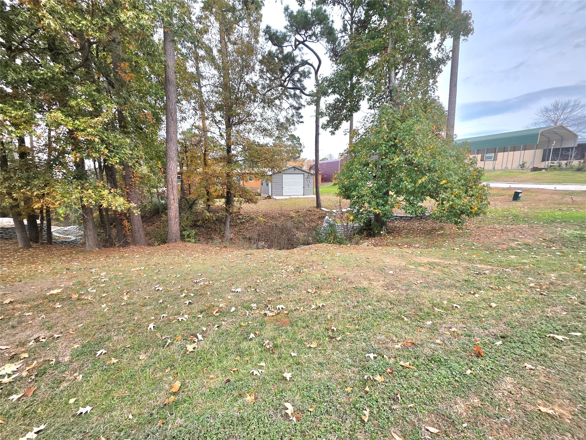 141 Canal Drive Point Blank, TX 77364 - Photo 24 of 28 a view of a yard with plants and trees