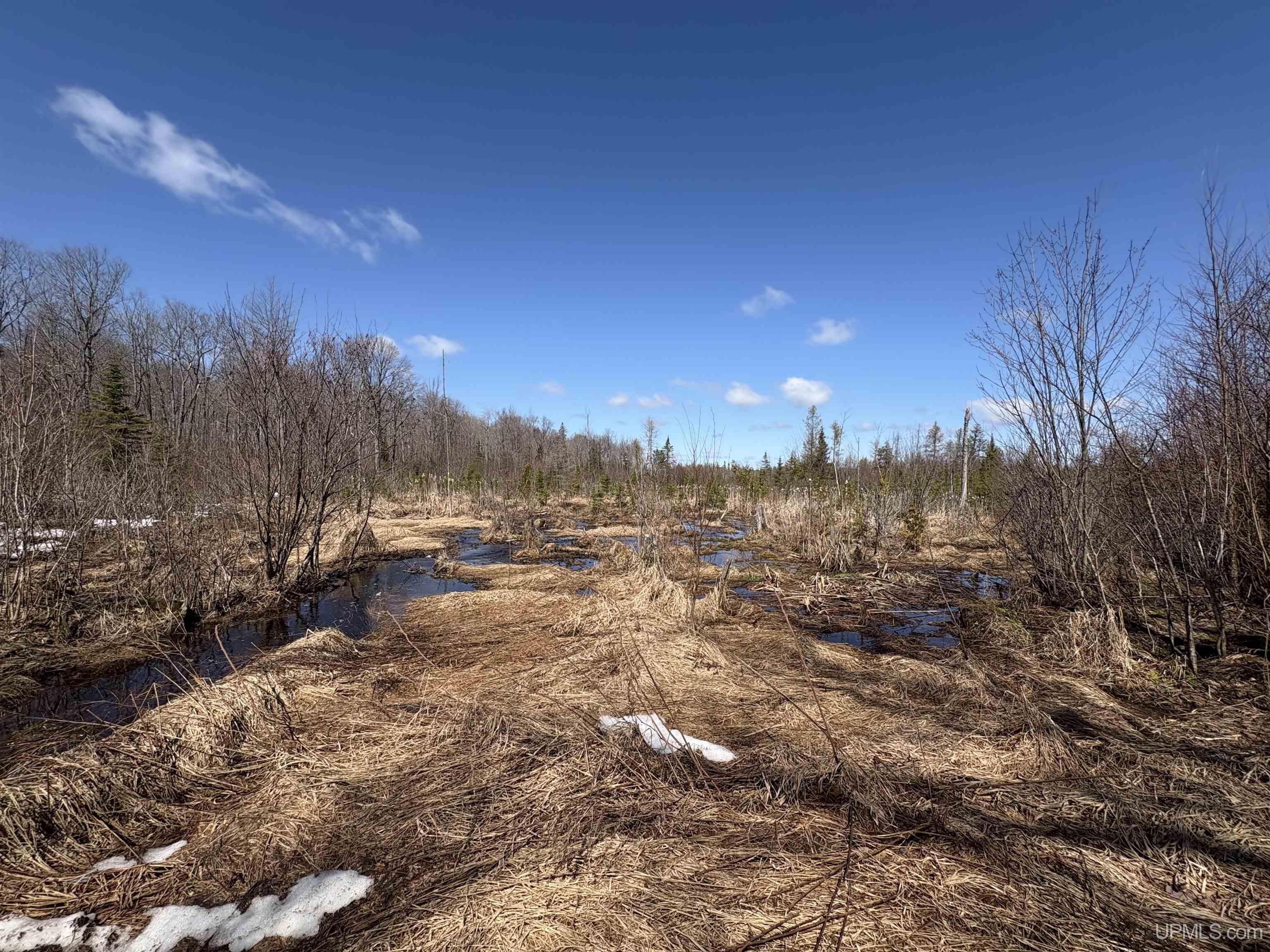 14814 Bailey Road Covington, MI 49919 - Photo 21 of 35