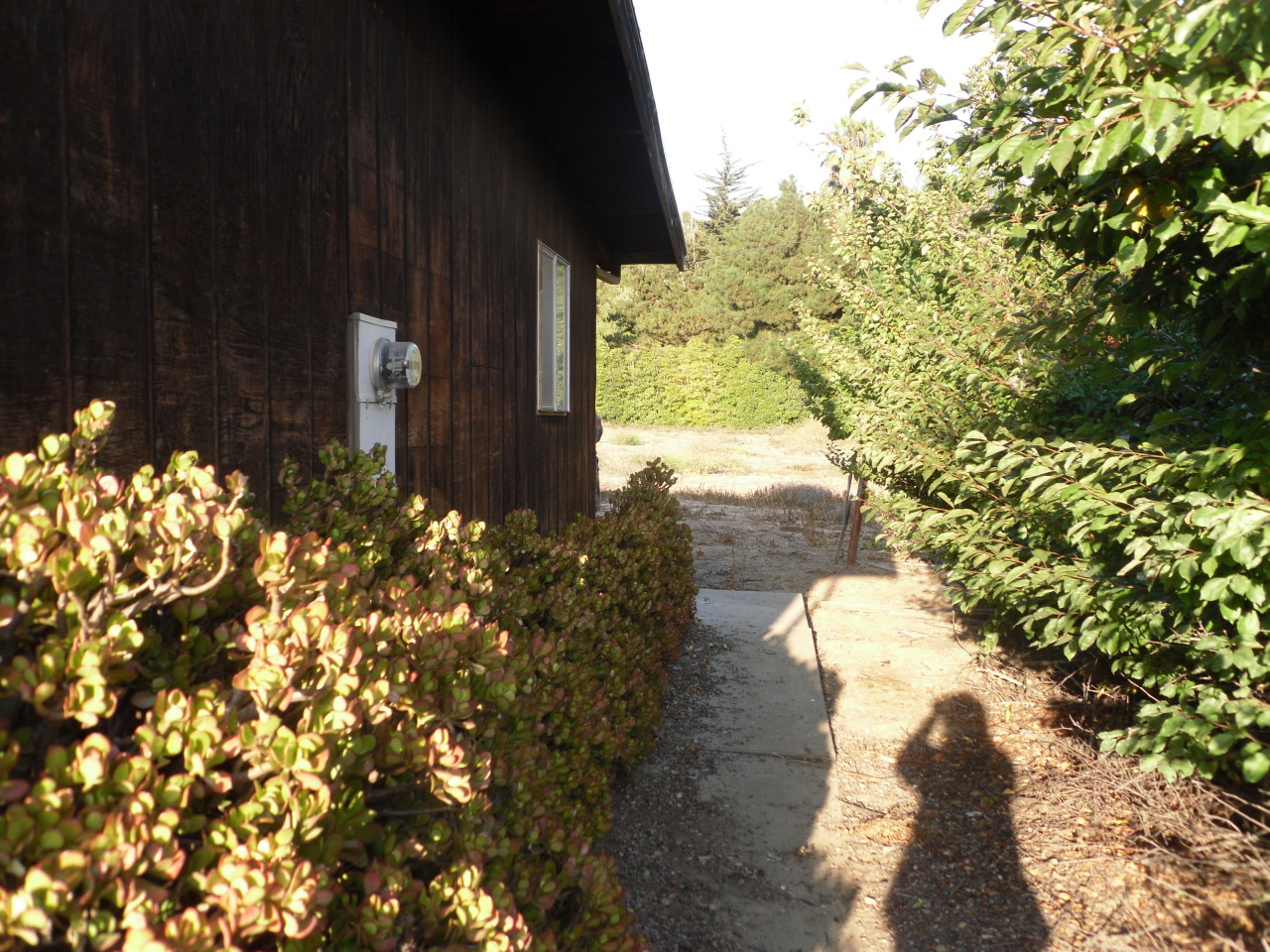 6830 Casitas Pass Road Carpinteria, CA 93013 - Photo 7 of 11 7
