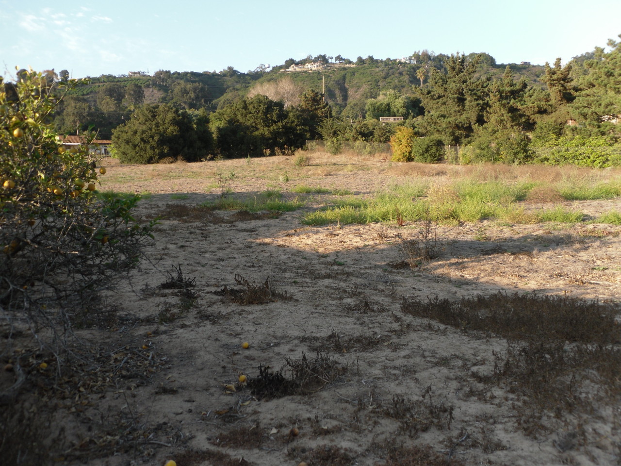 6830 Casitas Pass Road Carpinteria, CA 93013 - Photo 9 of 11 10