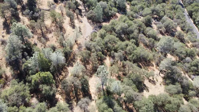 $55,000 | 13813 County 270 Road, Oregon House, CA 95962