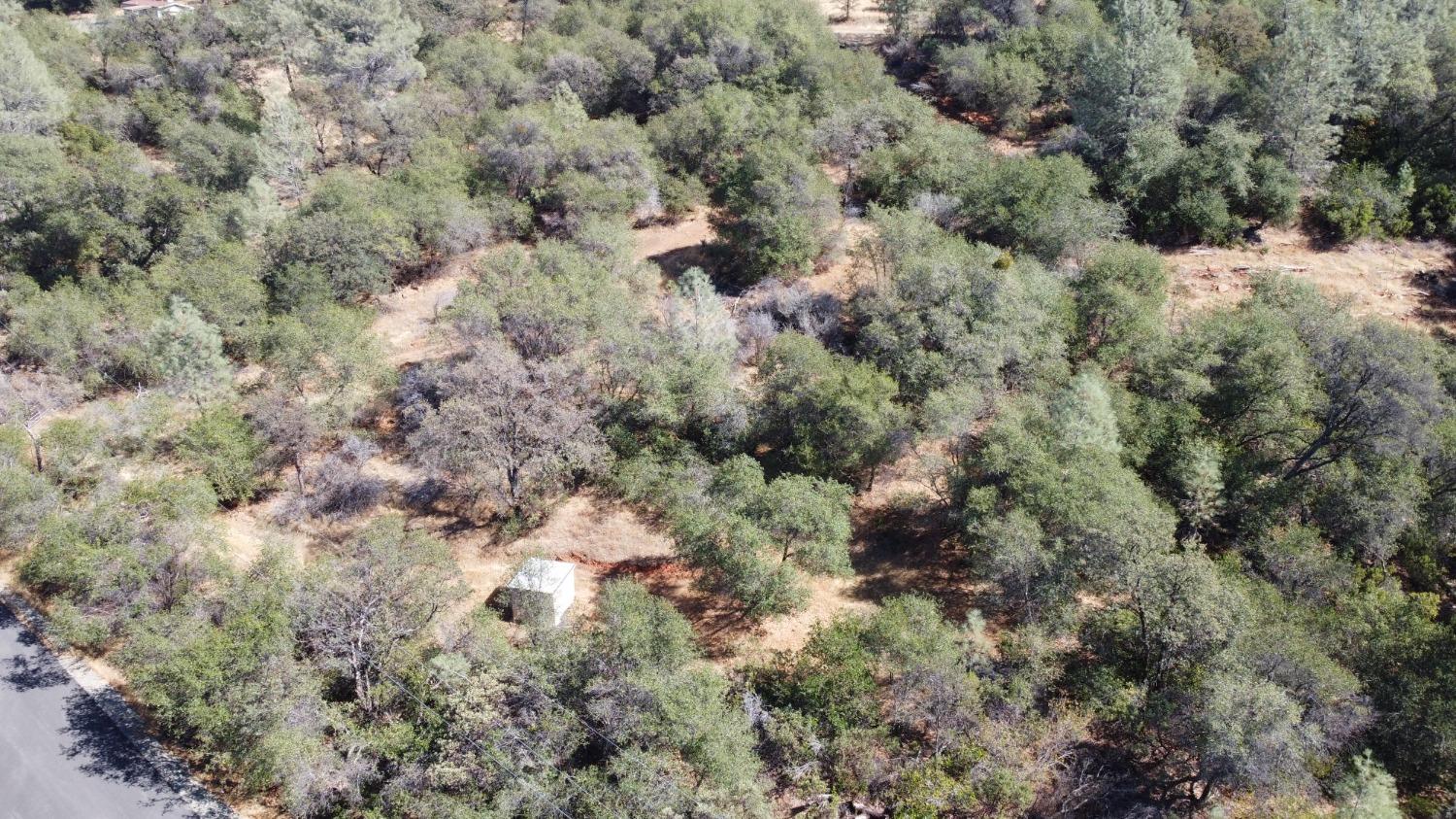 13813 County 270 Road Oregon House, CA 95962 - Photo 16 of 18