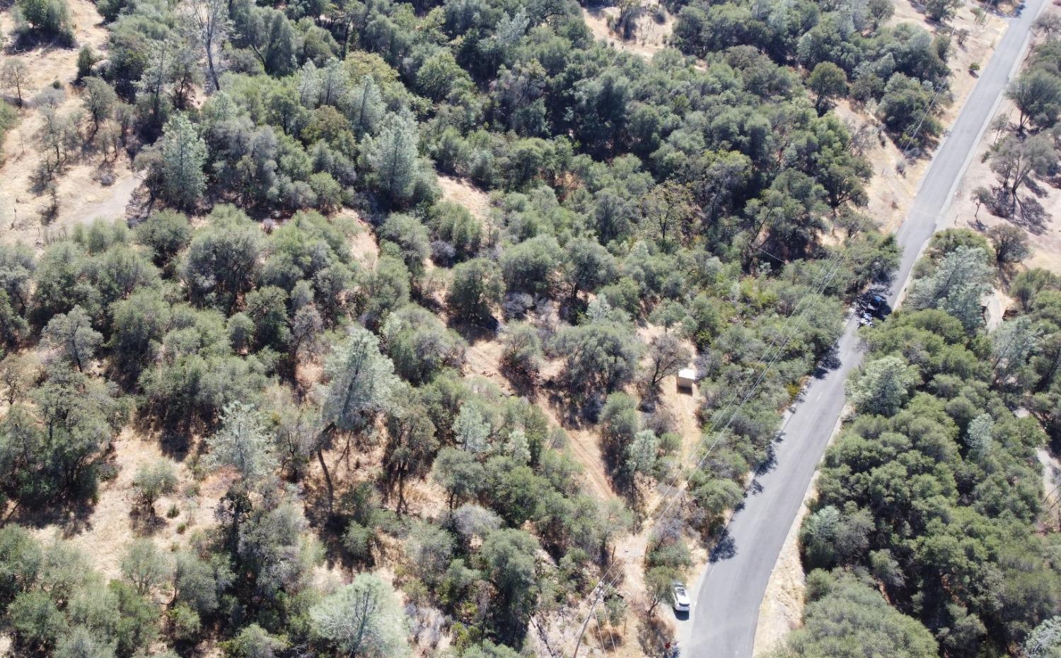 13813 County 270 Road Oregon House, CA 95962 - Photo 17 of 18