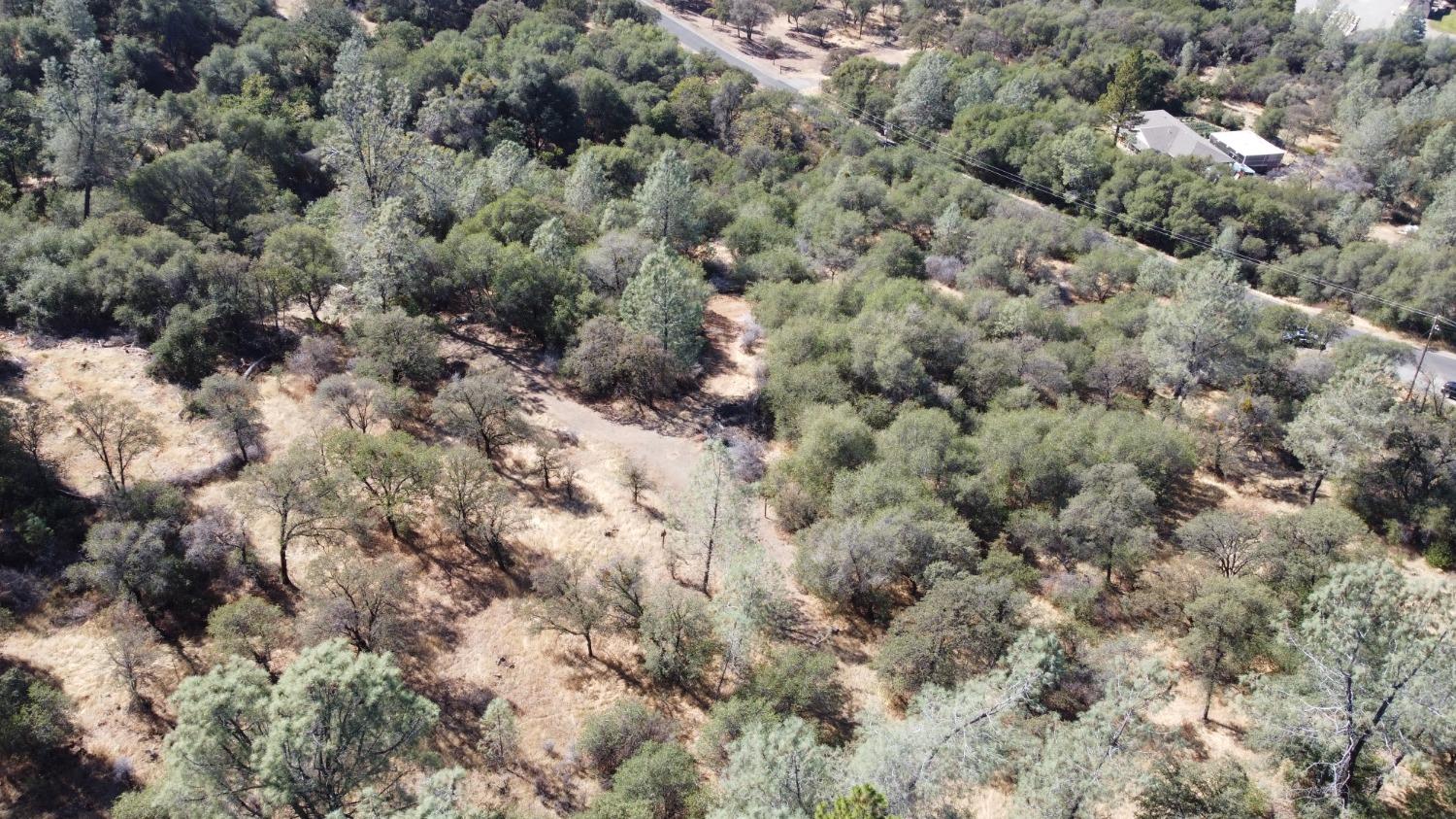 13813 County 270 Road Oregon House, CA 95962 - Photo 4 of 18