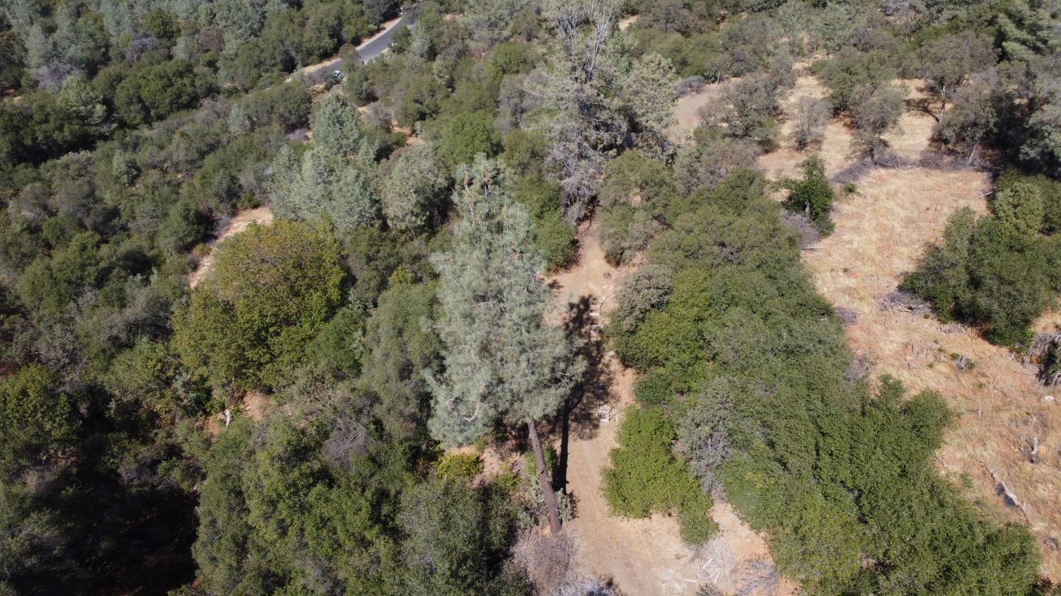 13813 County 270 Road Oregon House, CA 95962 - Photo 5 of 18