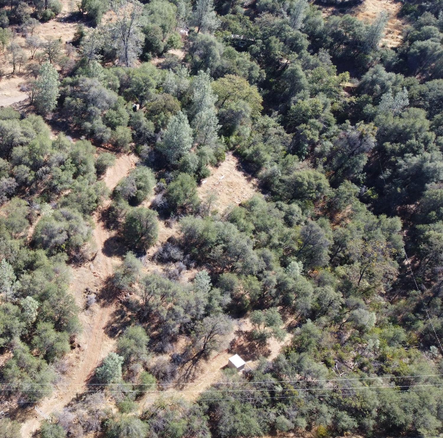 13813 County 270 Road Oregon House, CA 95962 - Photo 7 of 18