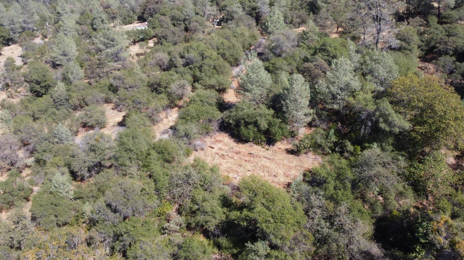 13813 County 270 Road Oregon House, CA 95962 - Photo 10 of 18