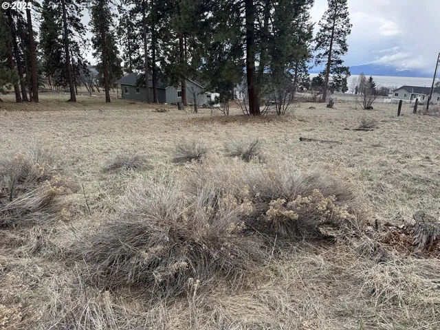 a view of open space with trees