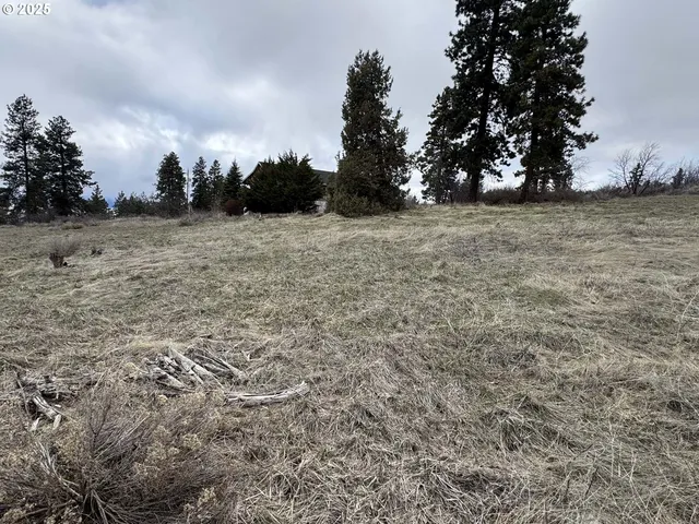 a view of dirt field with trees in background