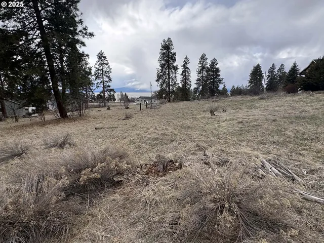 a view of a covered with trees in the background