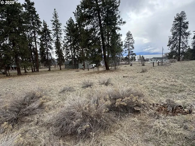 a view of dirt field with trees in background